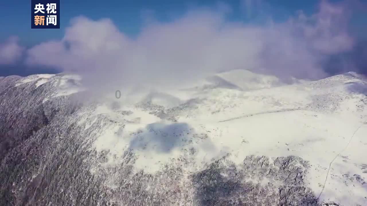 生化危机0