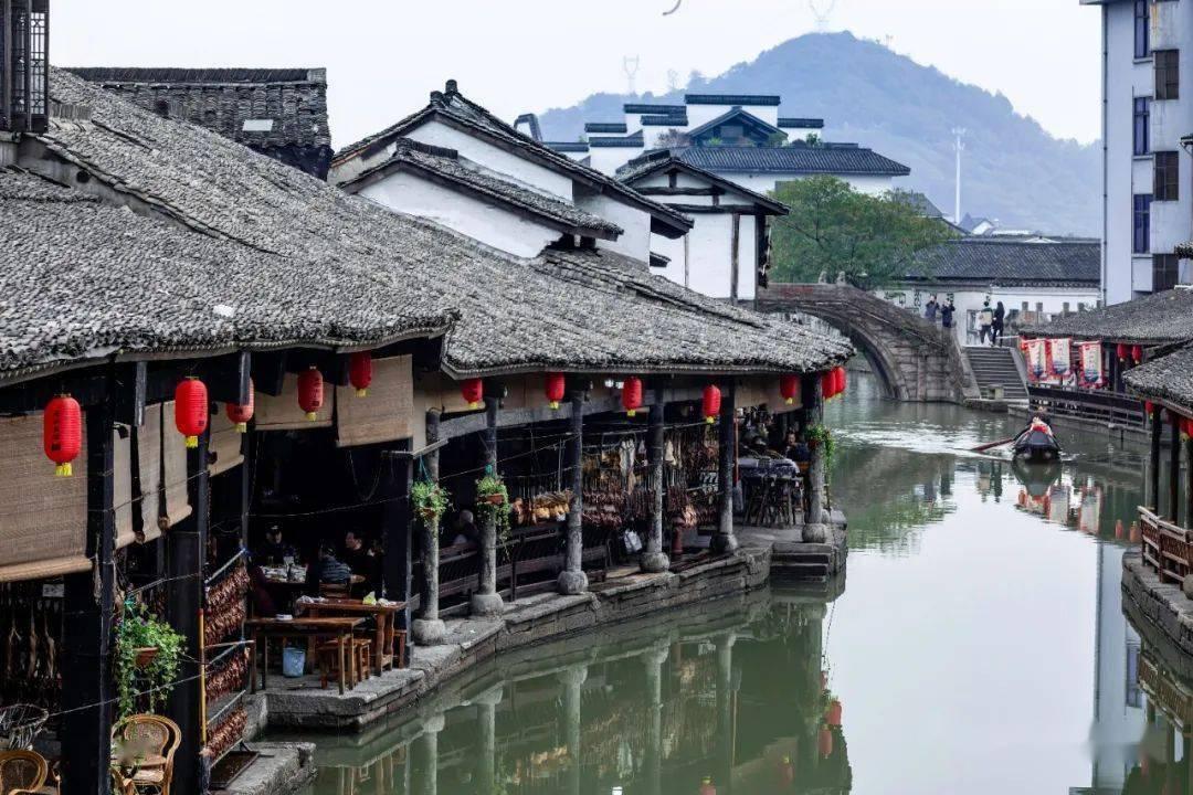 臭屁虫吃吃吃